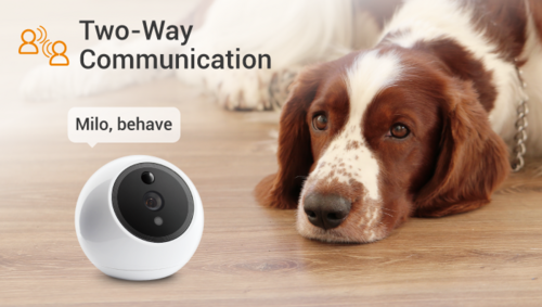 Apollo Pet Monitoring Camera – AI Detection, Visione Notturna