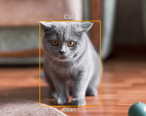 Apollo Pet Monitoring Camera – AI Detection, Visione Notturna
