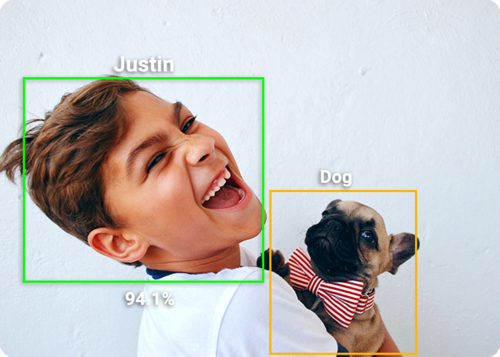 Apollo Pet Monitoring Camera – AI Detection, Visione Notturna